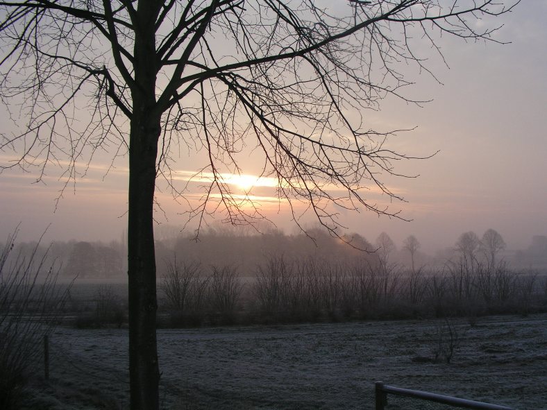 Morgens auf dem Weg zur Arbeit