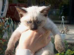 Kannst jetzt was anderes fotografieren? Danke.