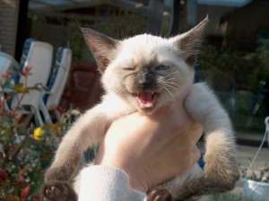 ICH SAGTE SUCH DIR WAS ANDERES ZUM FOTOGRAFIEREN