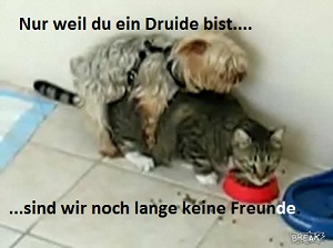 Keine Freunde